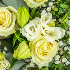 Bouquet de fleurs blanches