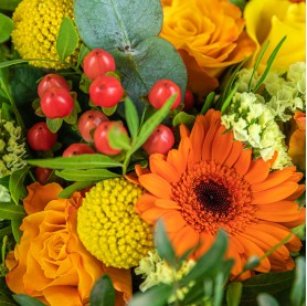 Bouquet de fleurs colorées