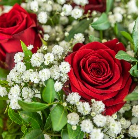 Bouquet de roses rouges