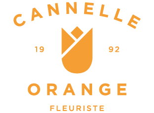 Cannelle Orange